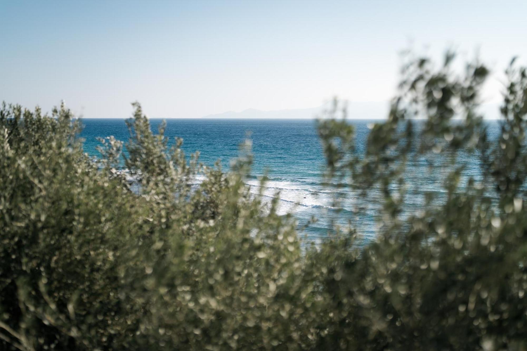 Aegean View Villa Loutra Elevtheron المظهر الخارجي الصورة